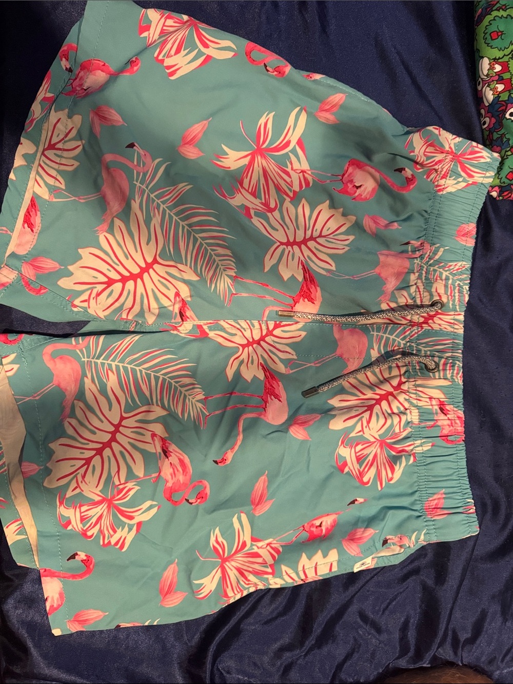 Men’s Teal Flamingo Print Swim Trunks with Pink Accents